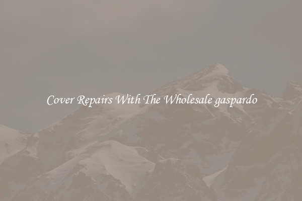  Cover Repairs With The Wholesale gaspardo 
