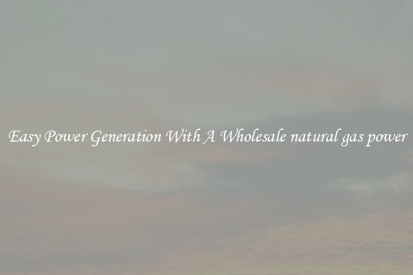 Easy Power Generation With A Wholesale natural gas power
