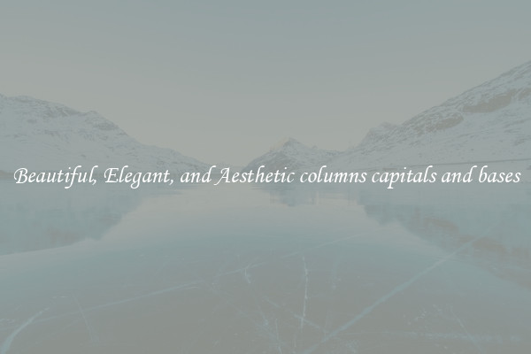 Beautiful, Elegant, and Aesthetic columns capitals and bases