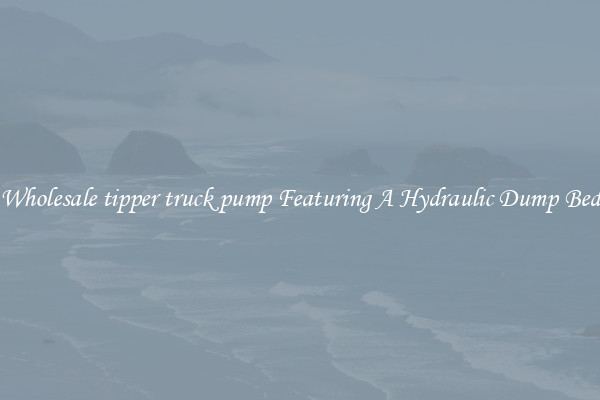 Wholesale tipper truck pump Featuring A Hydraulic Dump Bed