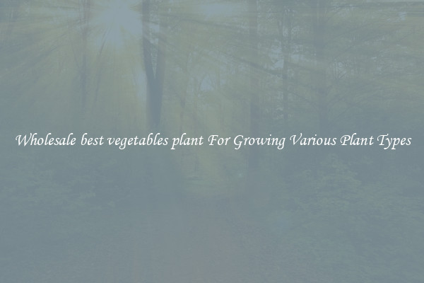 Wholesale best vegetables plant For Growing Various Plant Types