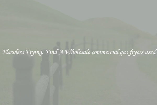 Flawless Frying: Find A Wholesale commercial gas fryers used