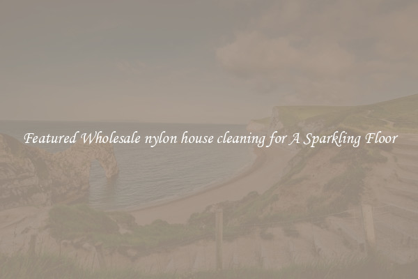 Featured Wholesale nylon house cleaning for A Sparkling Floor
