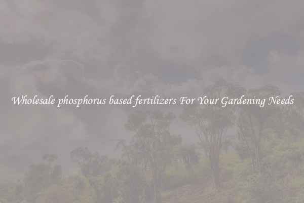 Wholesale phosphorus based fertilizers For Your Gardening Needs