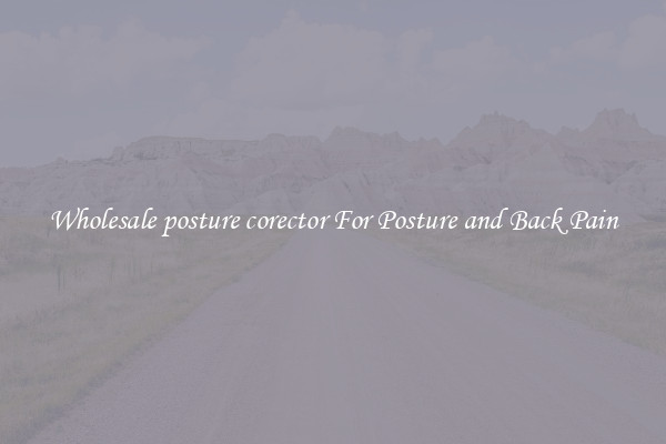 Wholesale posture corector For Posture and Back Pain