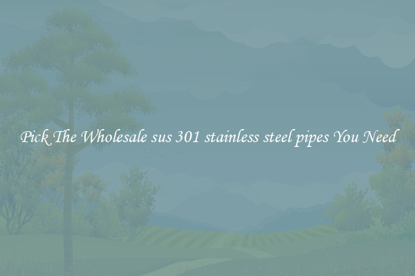 Pick The Wholesale sus 301 stainless steel pipes You Need