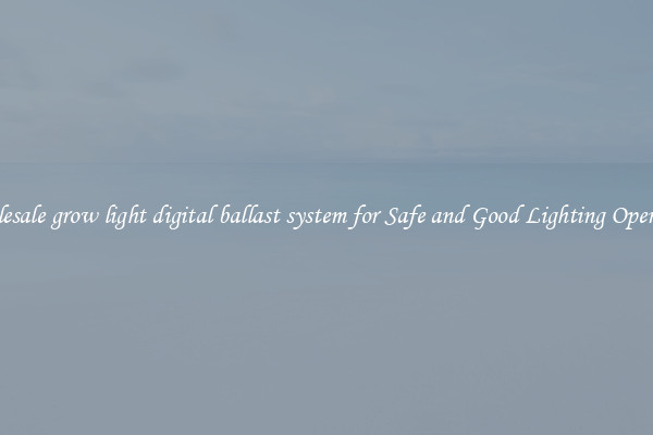 Wholesale grow light digital ballast system for Safe and Good Lighting Operation