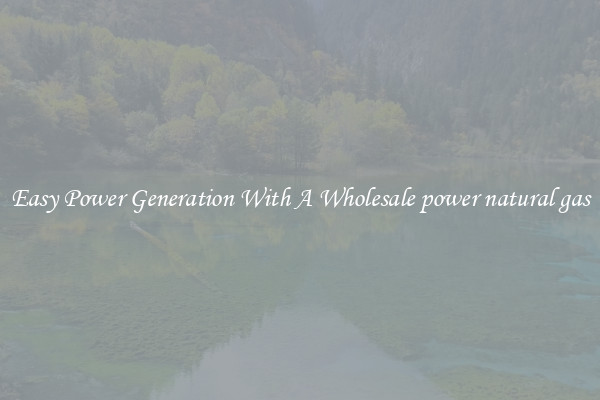 Easy Power Generation With A Wholesale power natural gas