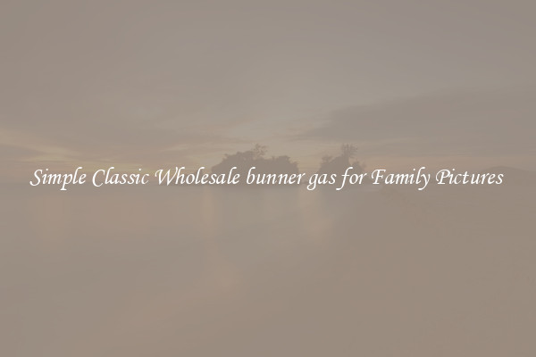 Simple Classic Wholesale bunner gas for Family Pictures 