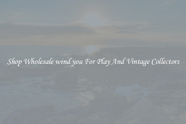 Shop Wholesale wind you For Play And Vintage Collectors