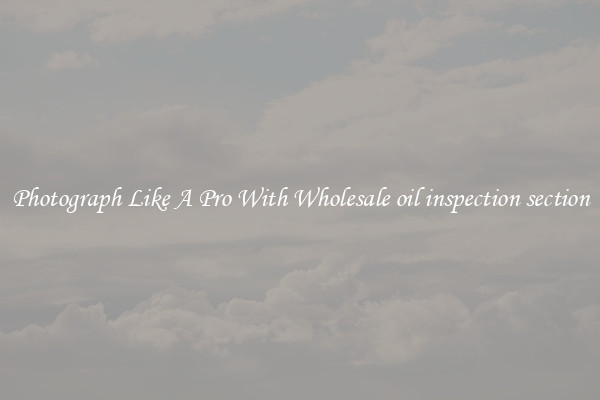 Photograph Like A Pro With Wholesale oil inspection section