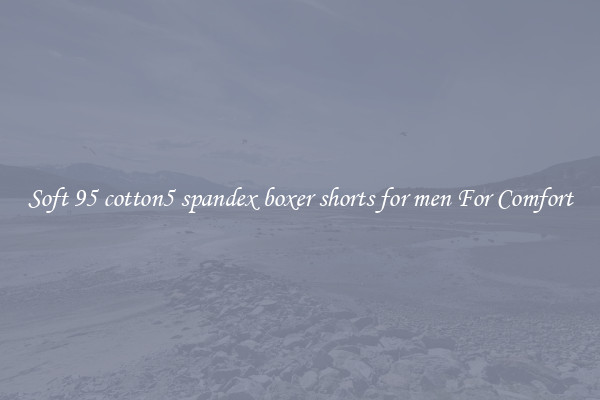 Soft 95 cotton5 spandex boxer shorts for men For Comfort
